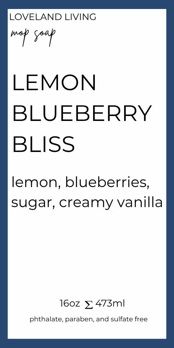 Lemon Blueberry Bliss Mop Soap