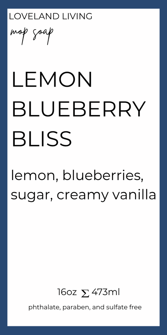 Lemon Blueberry Bliss Mop Soap